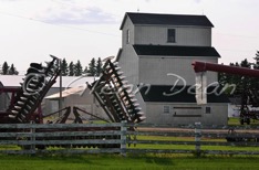 Dugald area farm
June 2006